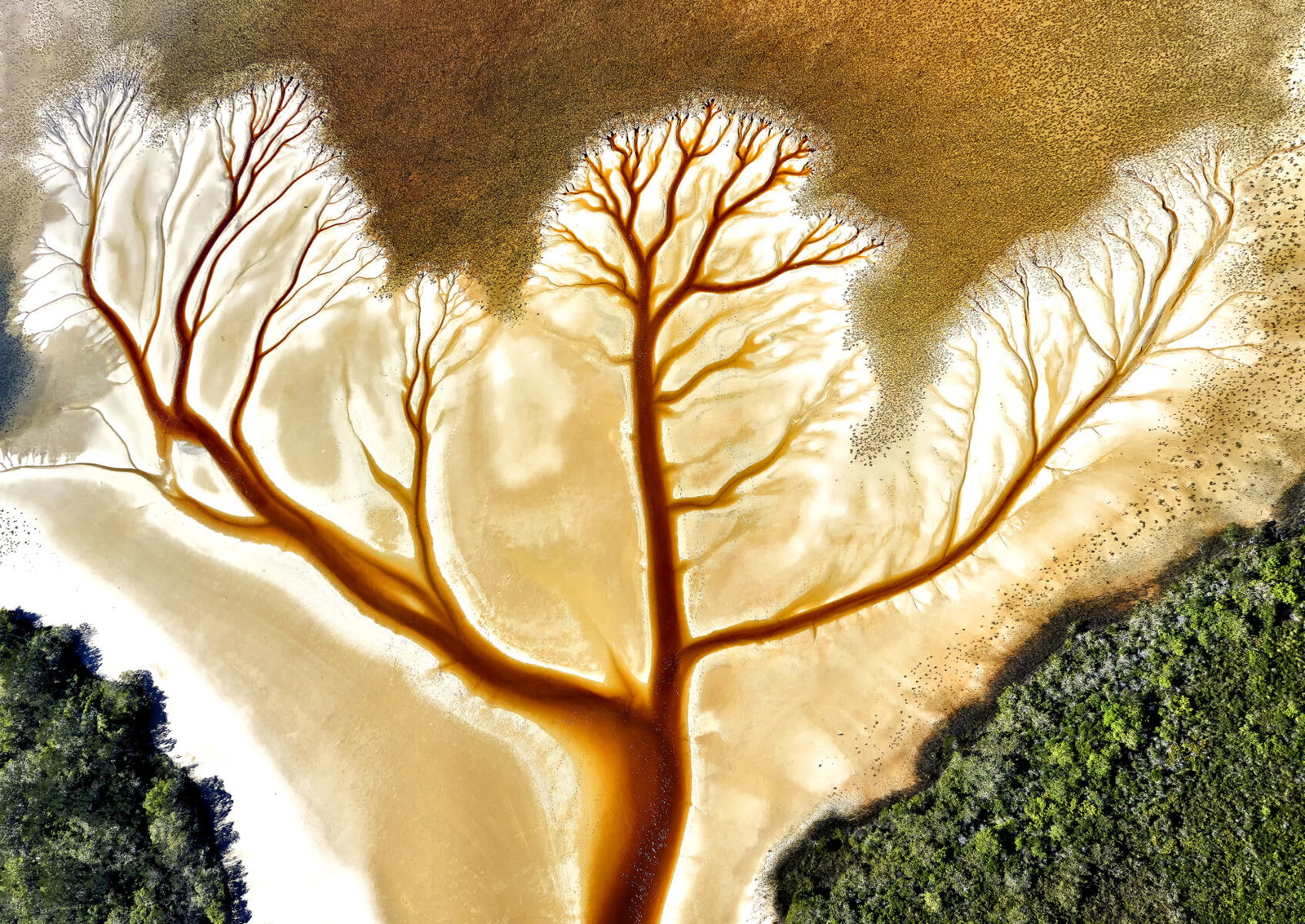 aerial color landscape photo of lake cakora, Australia, by Stuart Chape