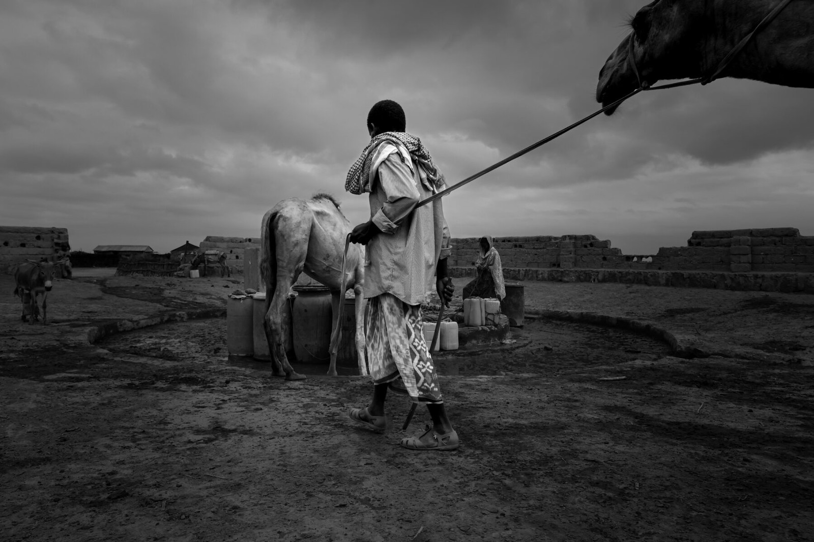 black and white photo of boy pulling camel in Eritrea by Antonio Avelar