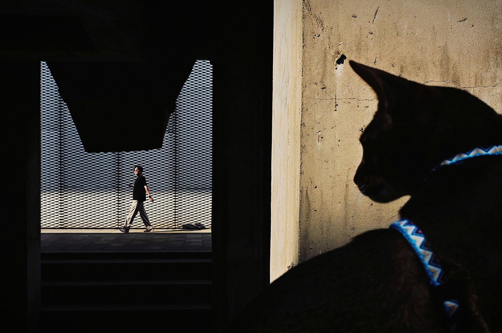 Color street shot of cat and woman in China by Yajun Hu