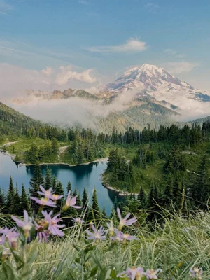 color landscape photo of Mt Rainier National Park by Lauren Puyleart