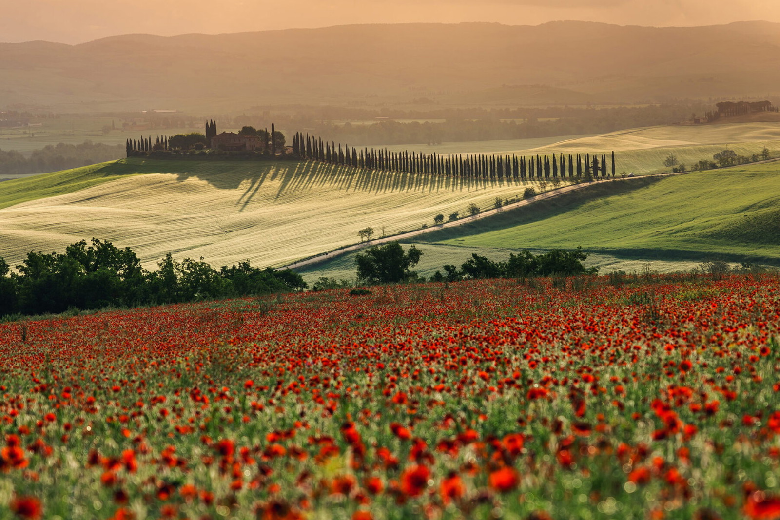 Landscape Award | The Independent Photographer