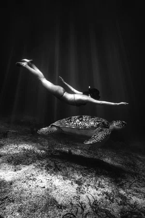 black and white photo of woman diving with turtle by Alexis Bailliard