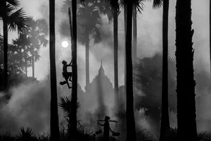 Black and white photo of man climbing tree in Myanmar by Simple Agarwal
