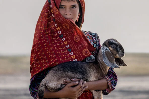 color portrait photo of child holding baby goat in western India by Giovanna Aryafara