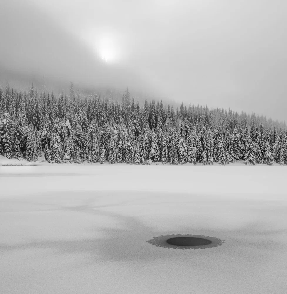 black and white landscape photo of snowy forest and frozen lake by Rajiv Shenoy