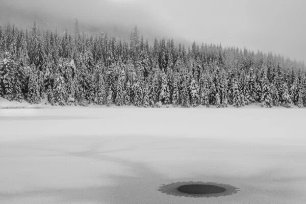 black and white landscape photo of snowy forest and frozen lake by Rajiv Shenoy