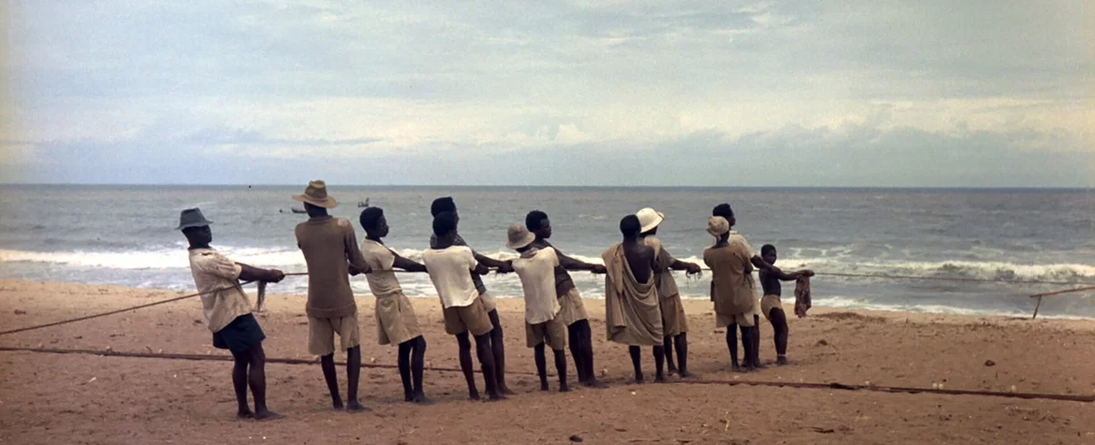 Color photo by Todd Webb of a line of fishermen pulling a line on a beach in Ghana