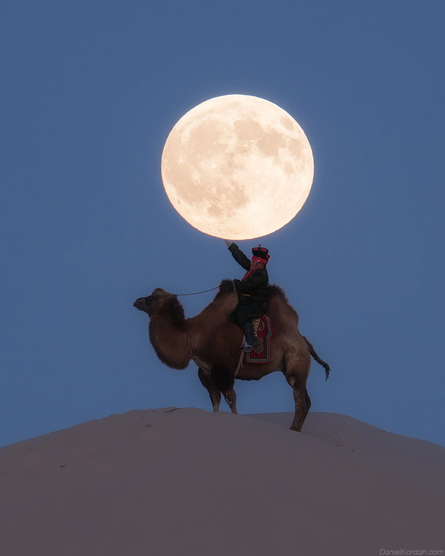 color travel photo of man on camel in Mongolia by Daniel Kordan