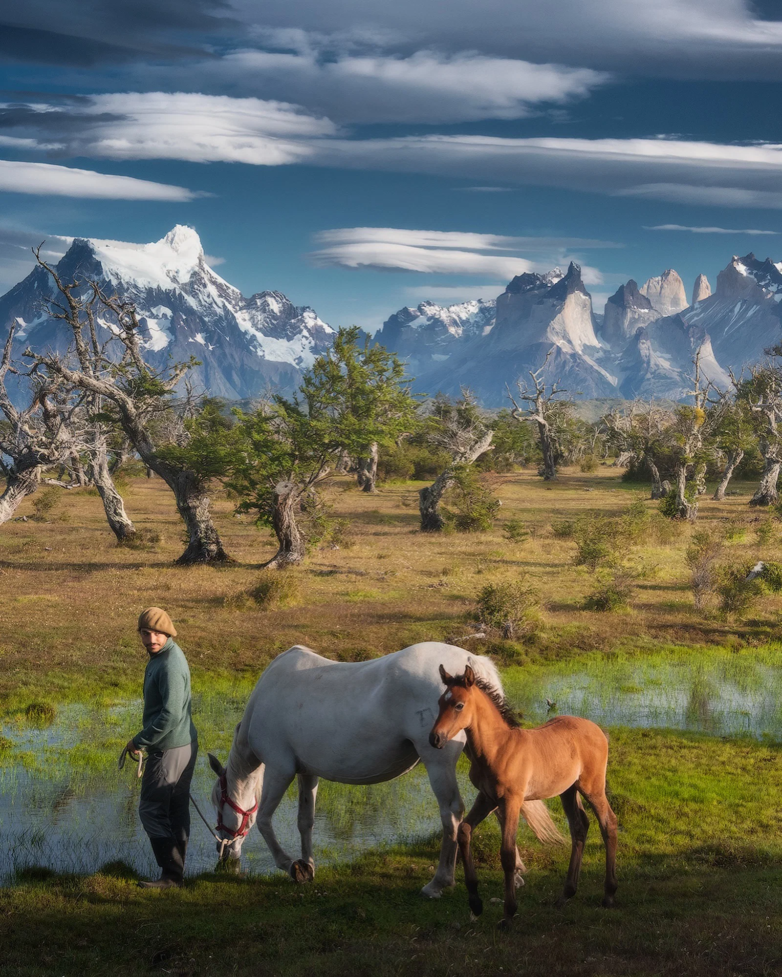 color photo of man and horses in Patagonia by Daniel Kordan