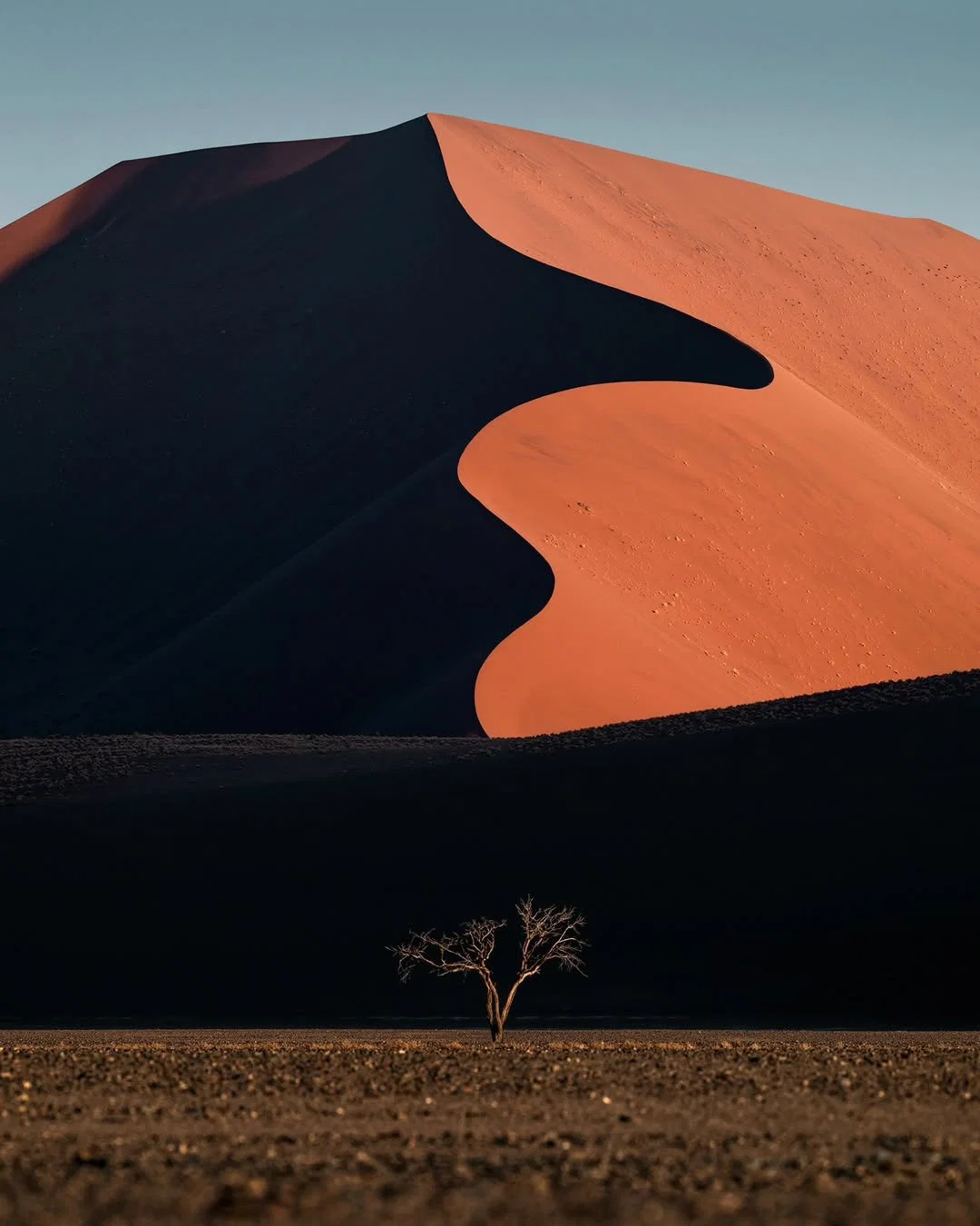 color landscape photo of sand dunes by Daniel Kordan