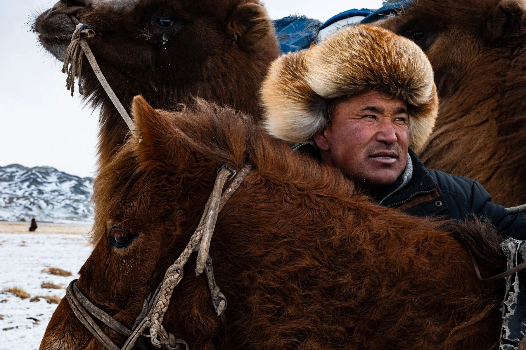 color travel photo of Kazakh family across the Mongolian steppe by Francesca Lanfranchi