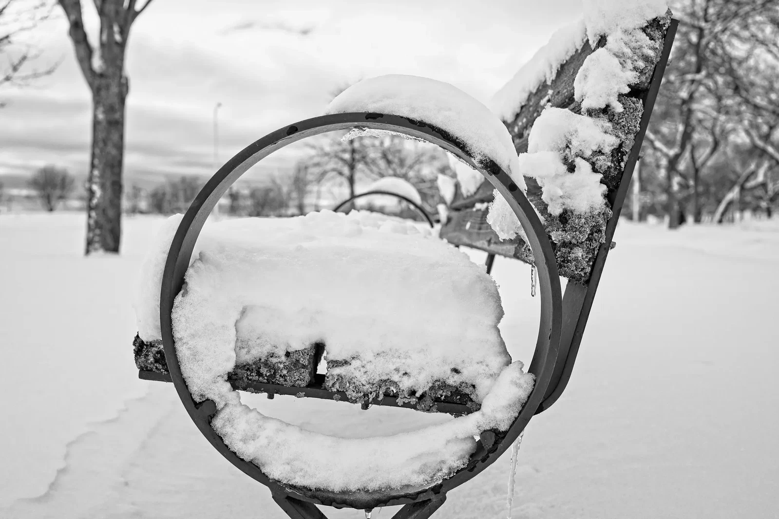 Photograph by Scott Peterson