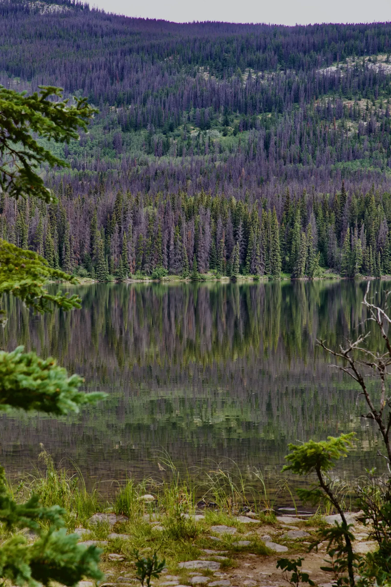 Photograph by Tom Papageorge