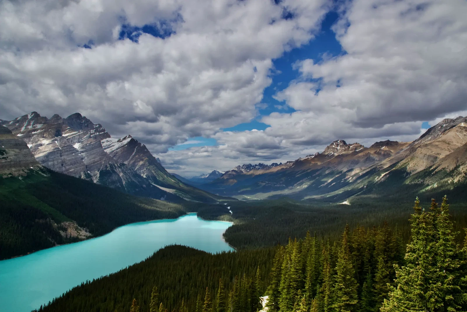 Photograph by Tom Papageorge