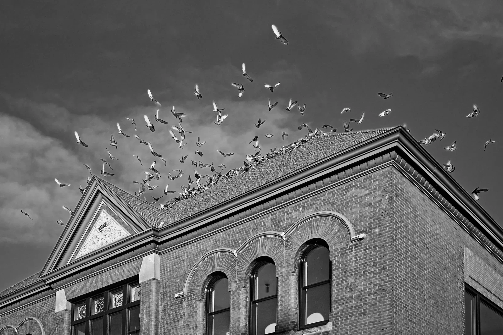 Photograph by Scott Peterson
