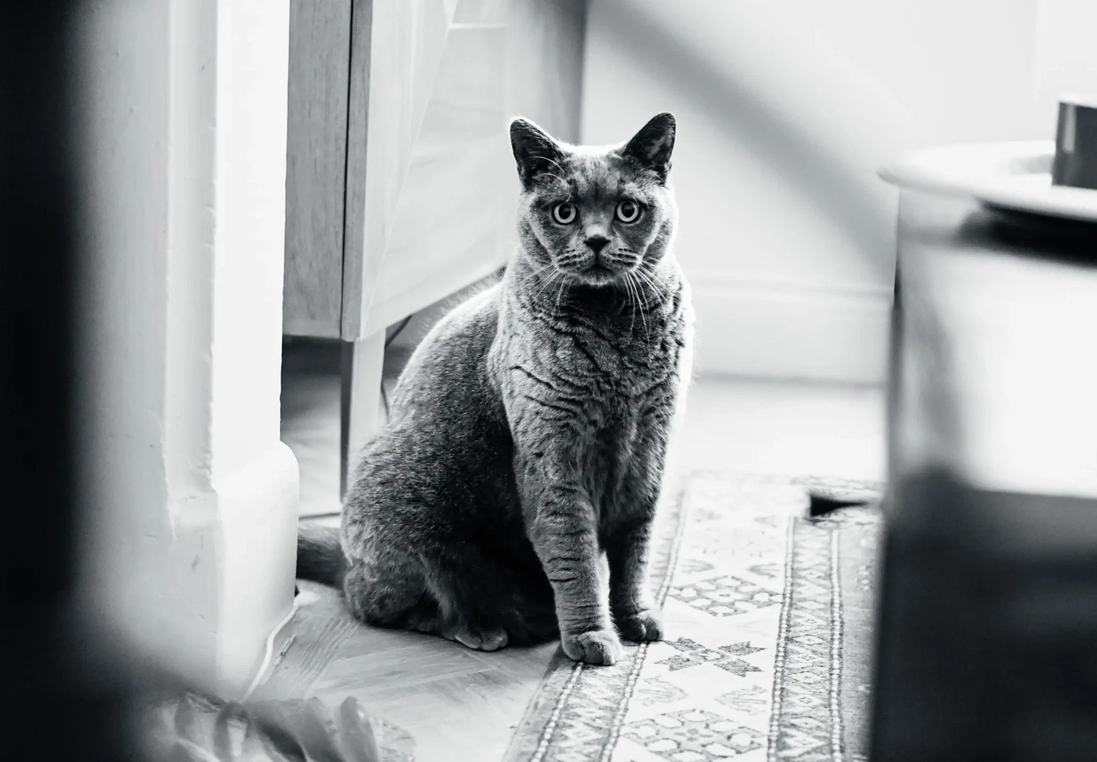 Photograph by Oliver Burwood
