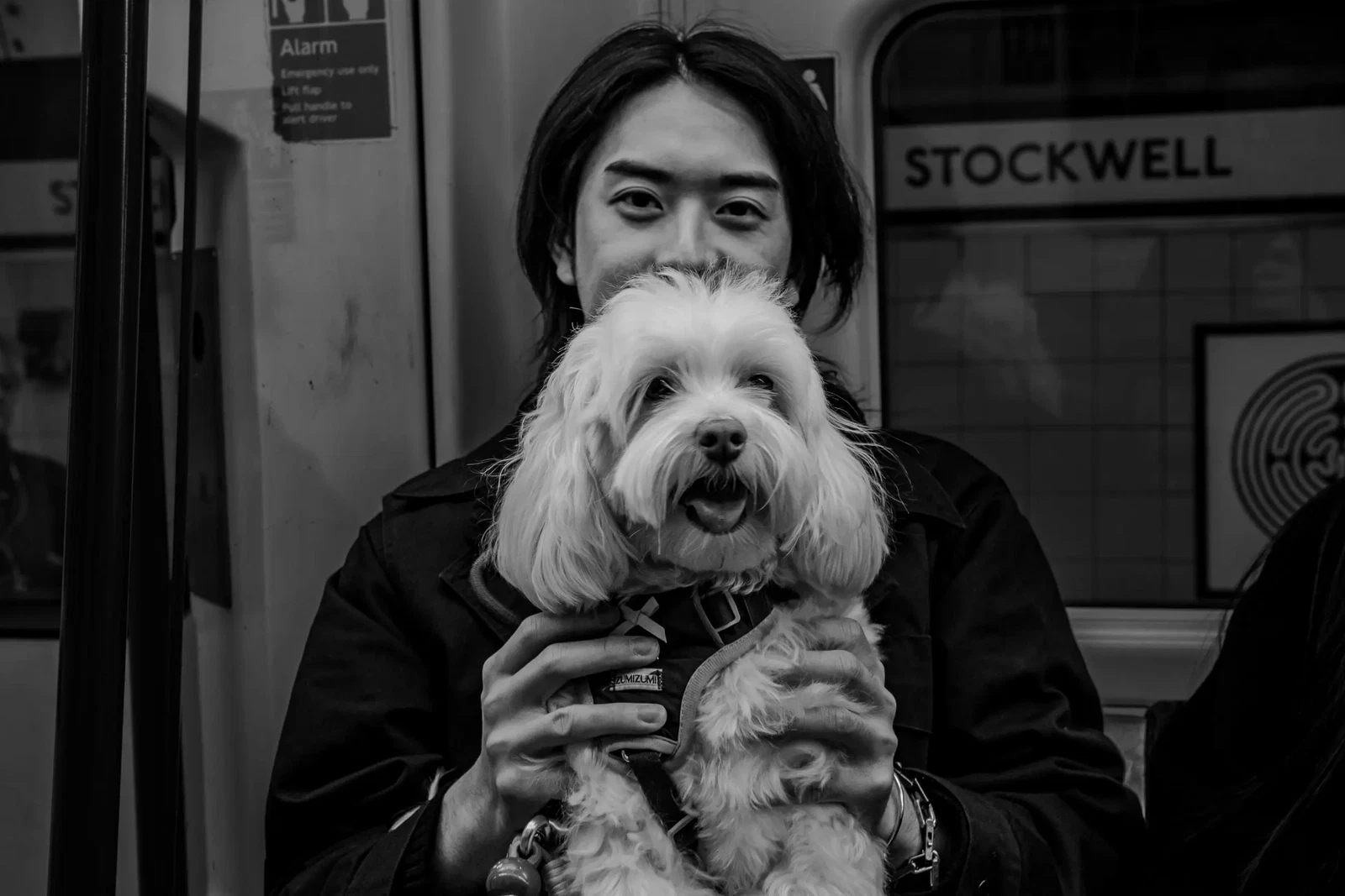 Photograph by Oliver Burwood