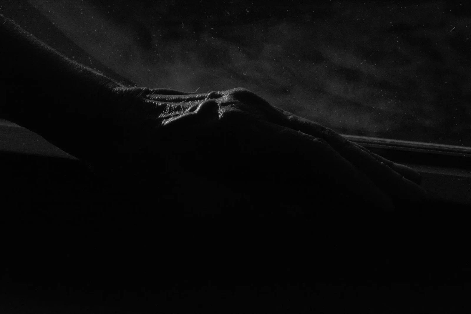 Photograph by Eleonora IUELE