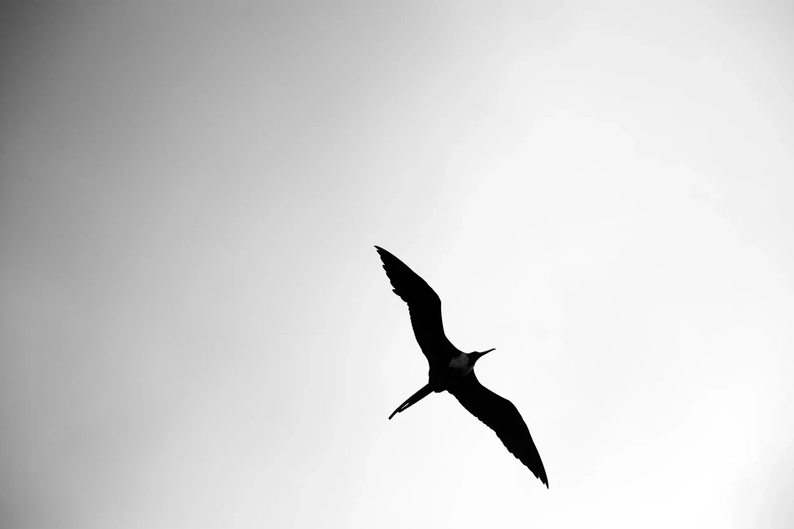 Photograph by Eleonora IUELE
