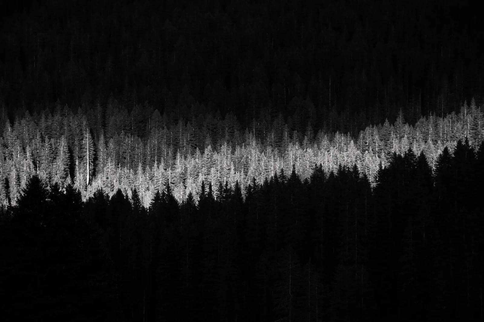 Photograph by Eleonora IUELE