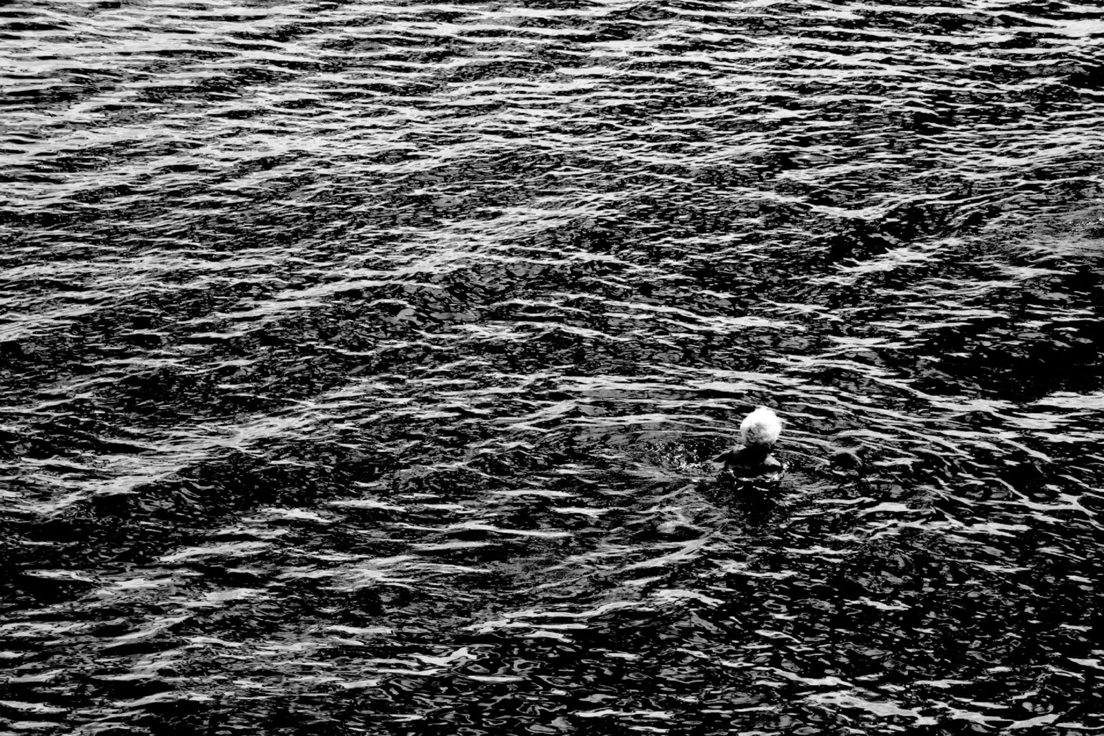 Photograph by Eleonora IUELE