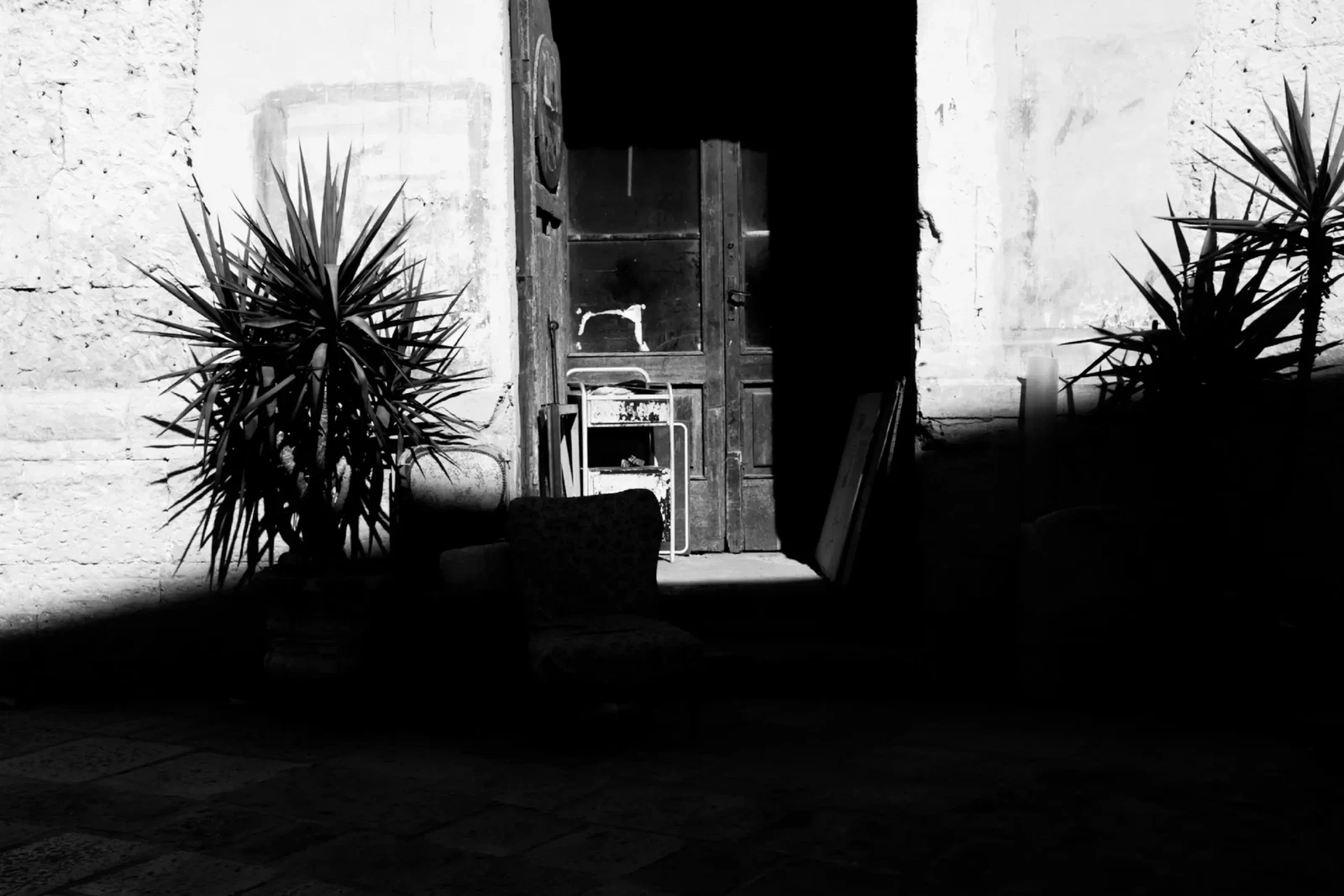 Photograph by Eleonora IUELE