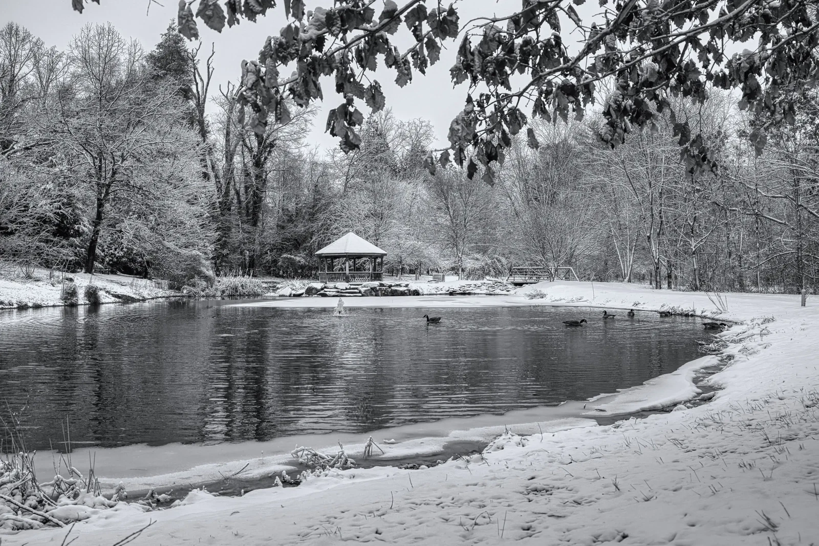 Photograph by Tom Papageorge