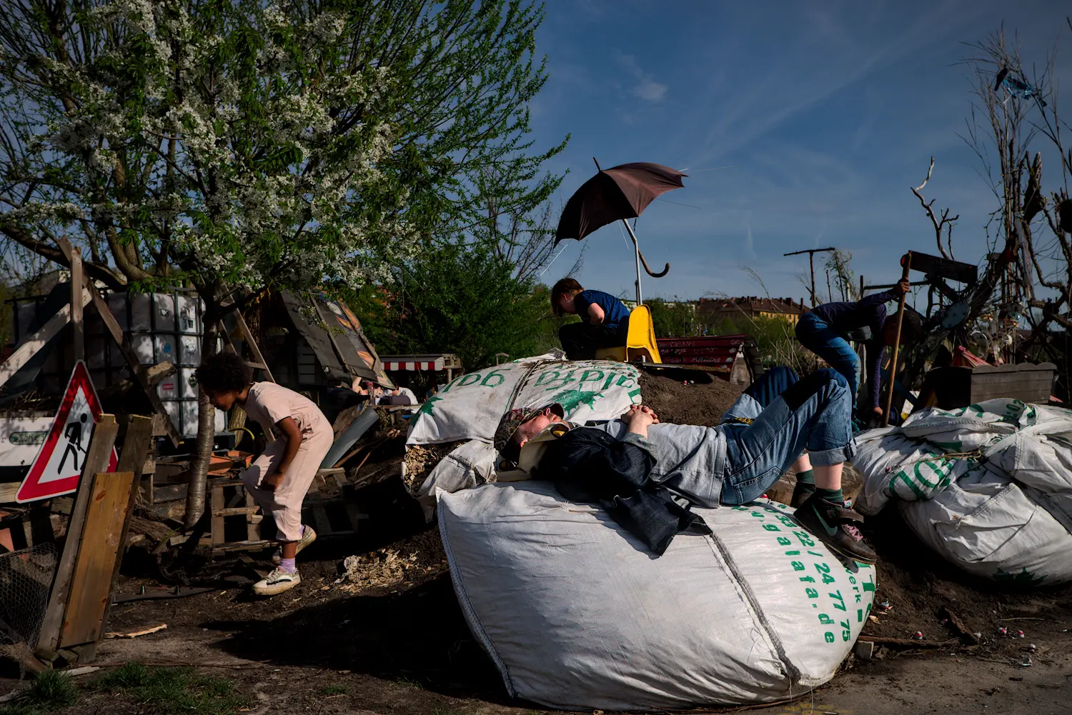Photograph by Daniel Kashi