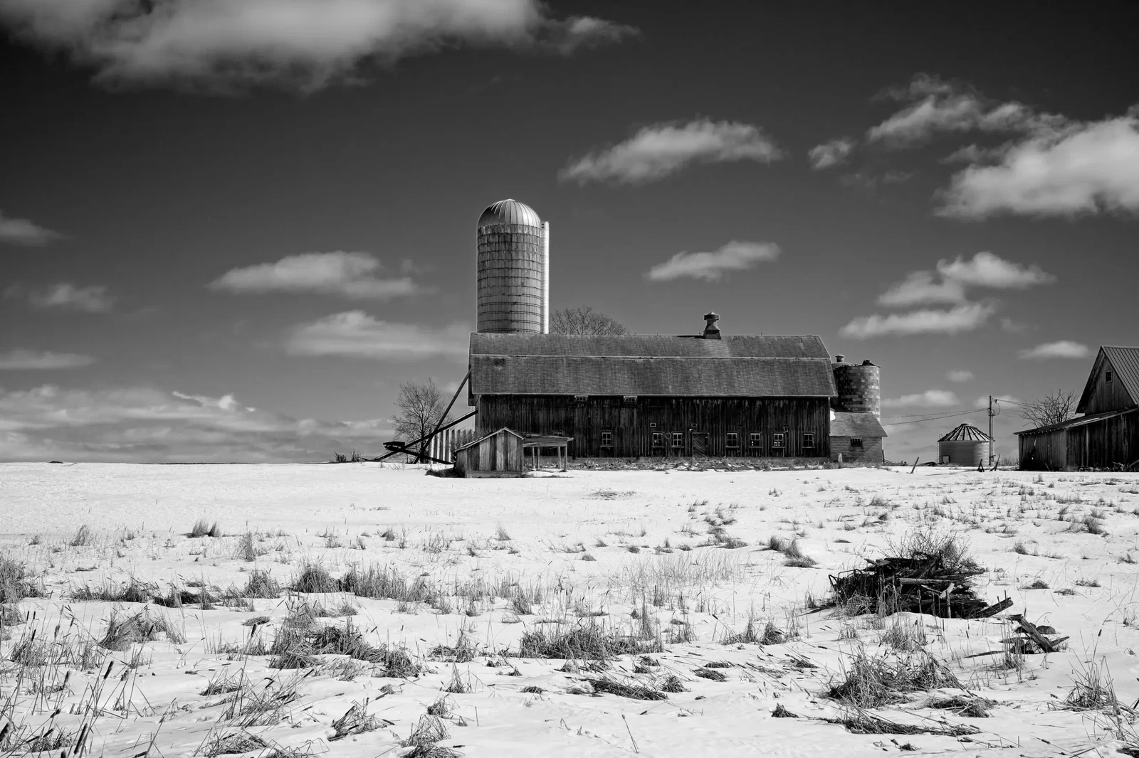 Photograph by Scott Peterson