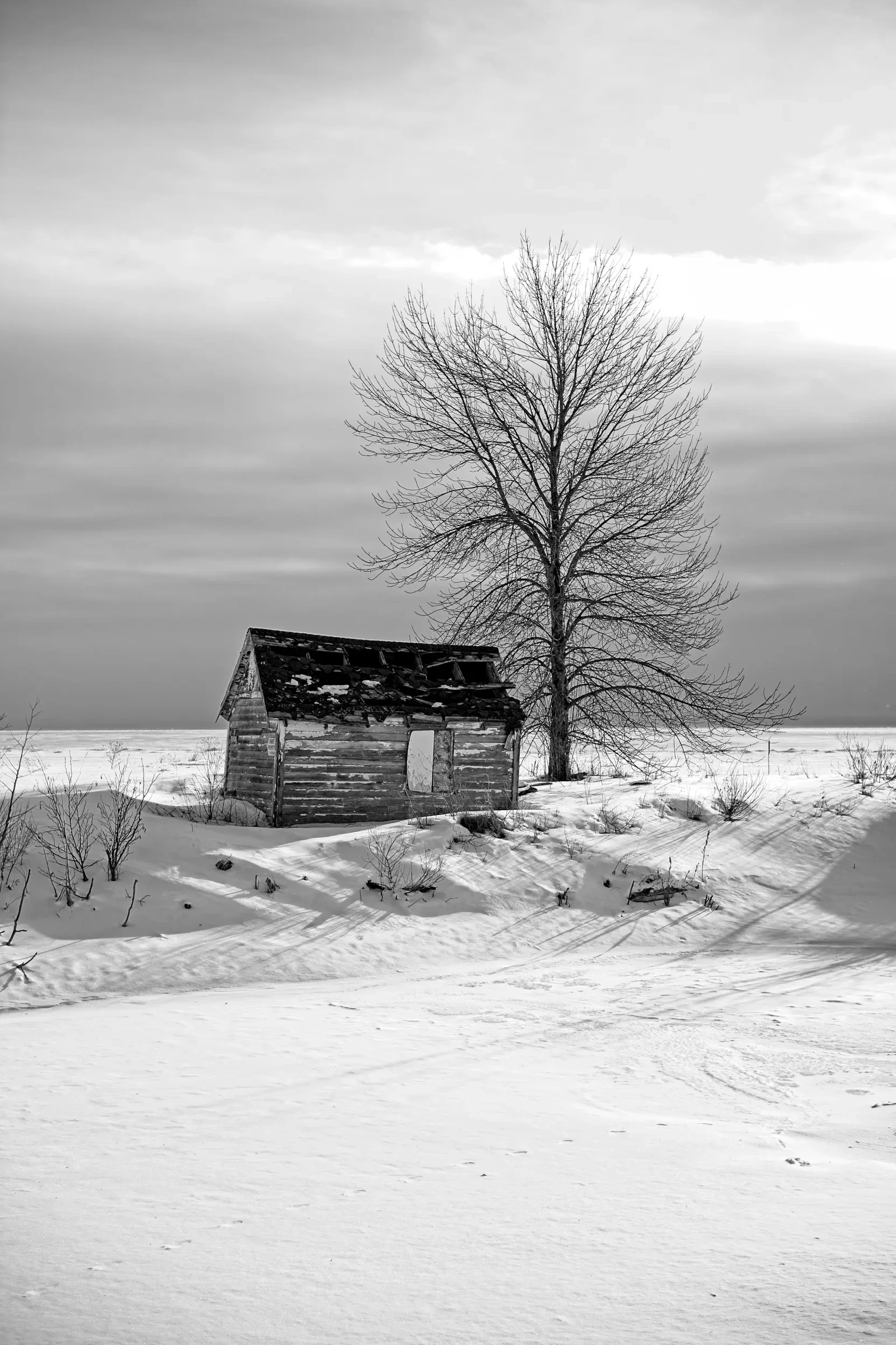 Photograph by Scott Peterson