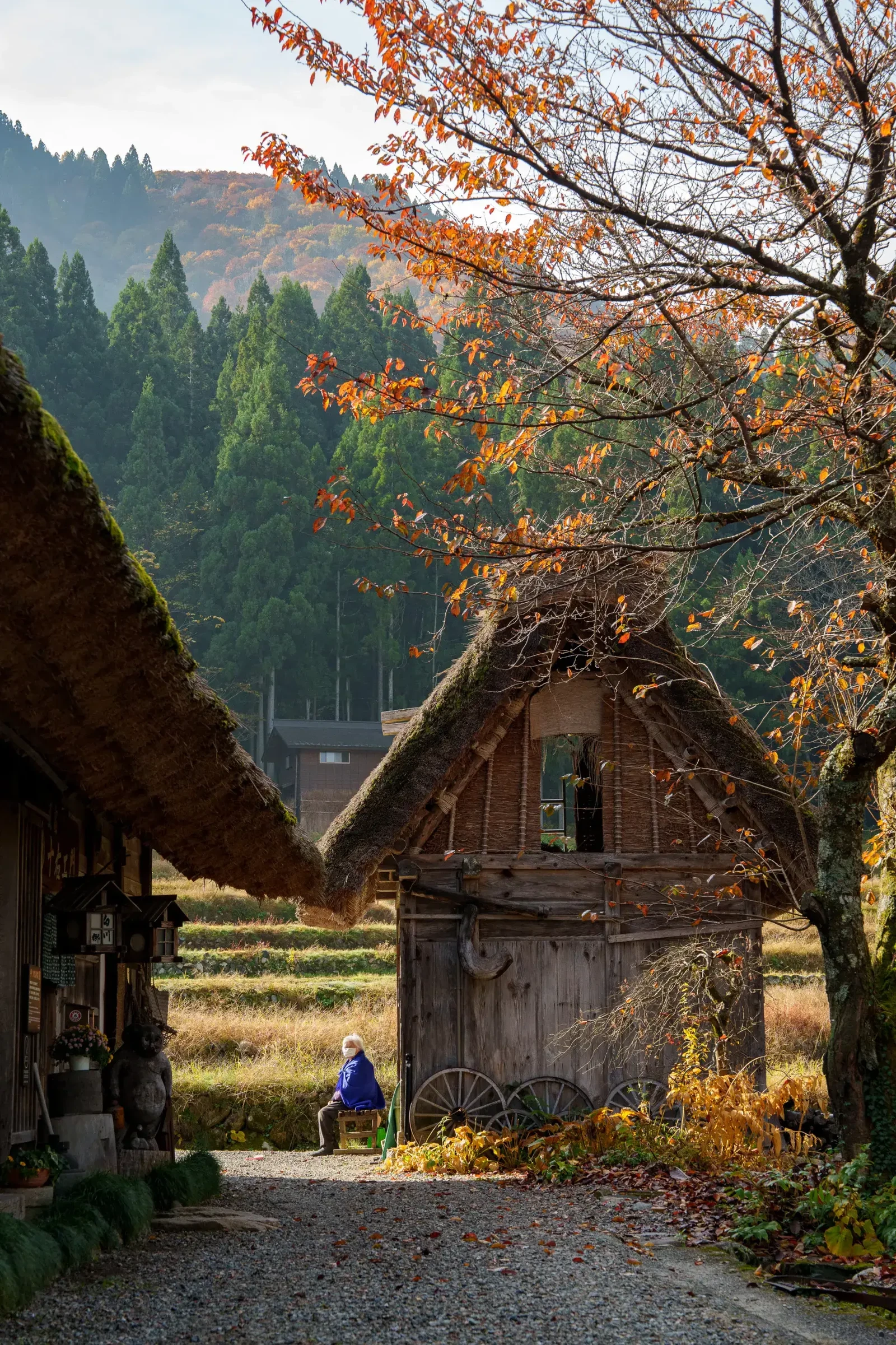 The Autumn Village - Japan by Nicolas Zucchini