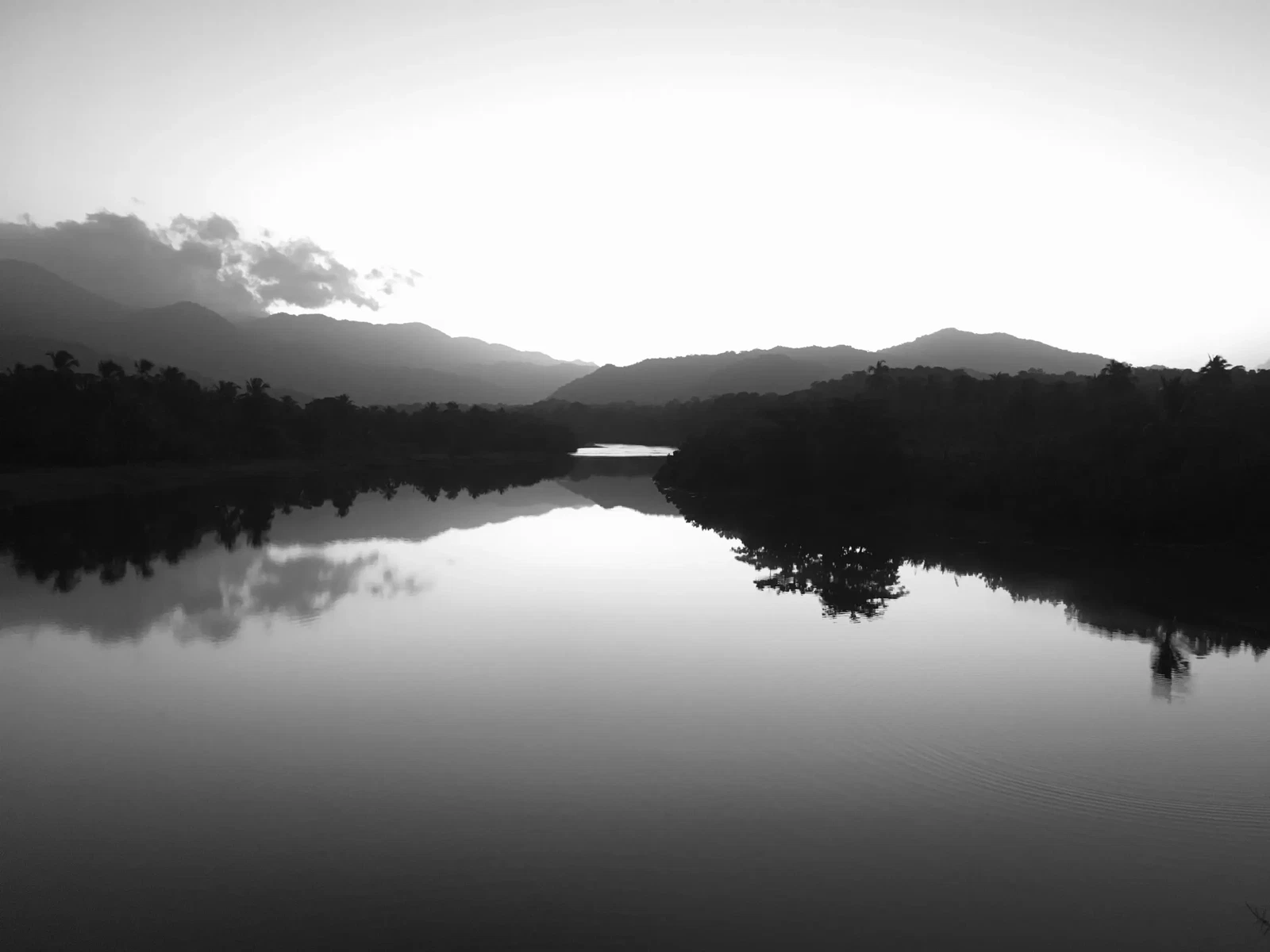 Photograph by Michael Enright