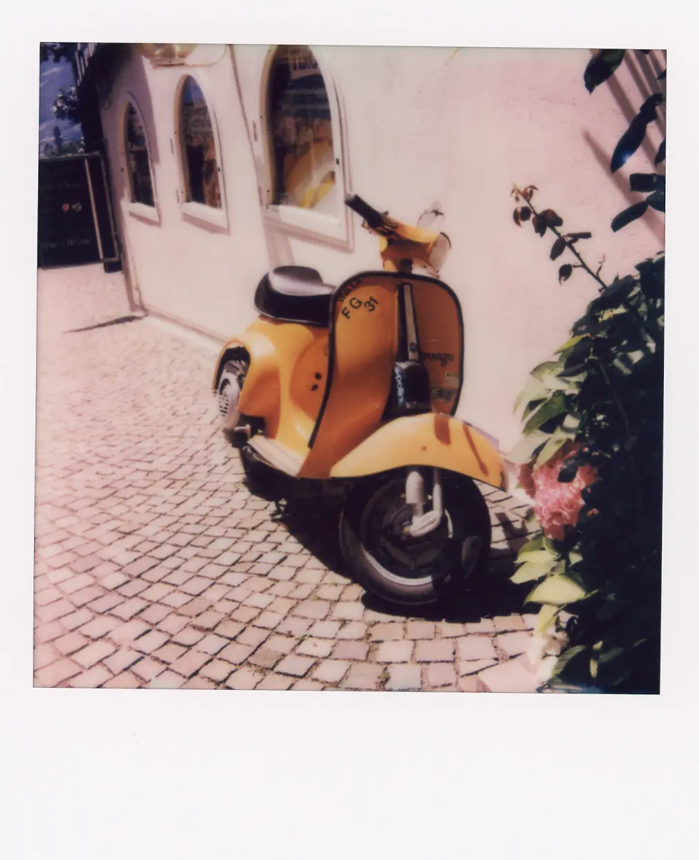 Photograph by lucia mazzucato