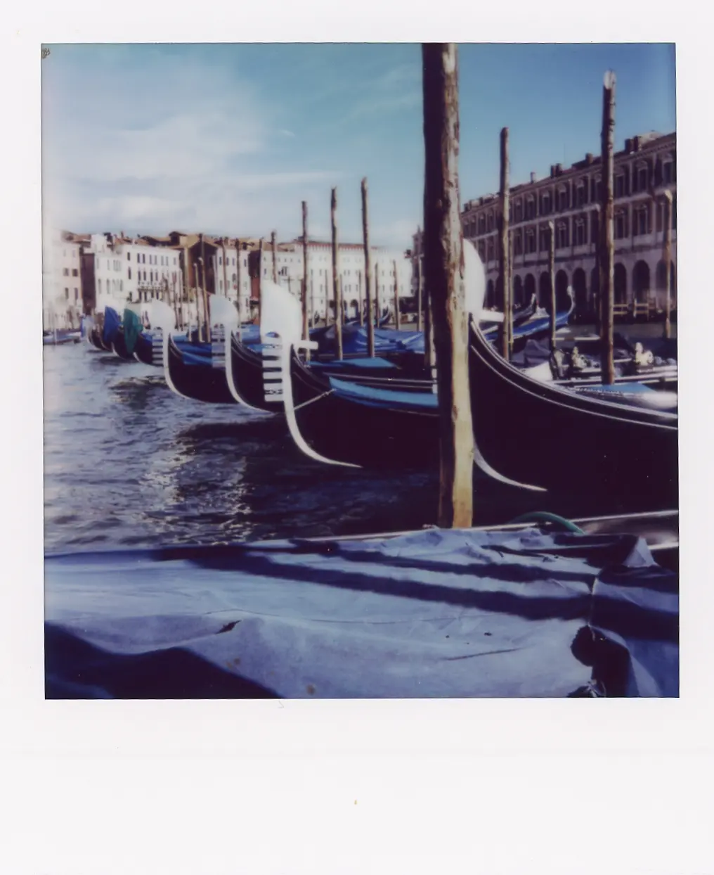 Photograph by lucia mazzucato