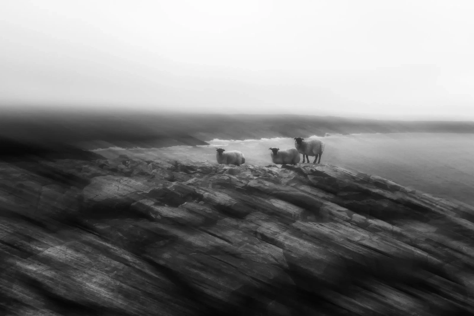 Photograph by Sofia Spinney