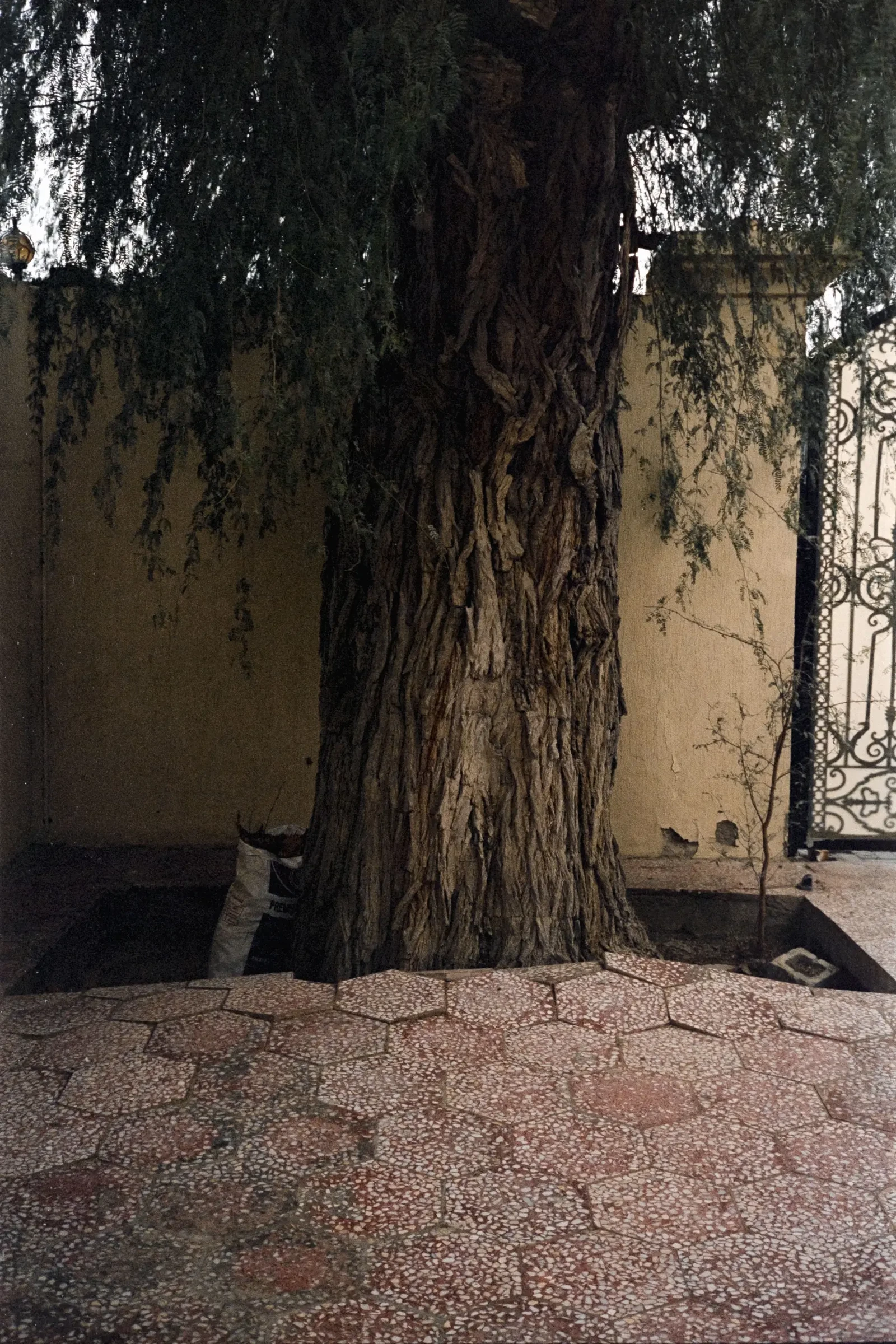 Photograph by Abdulla Alblooshi