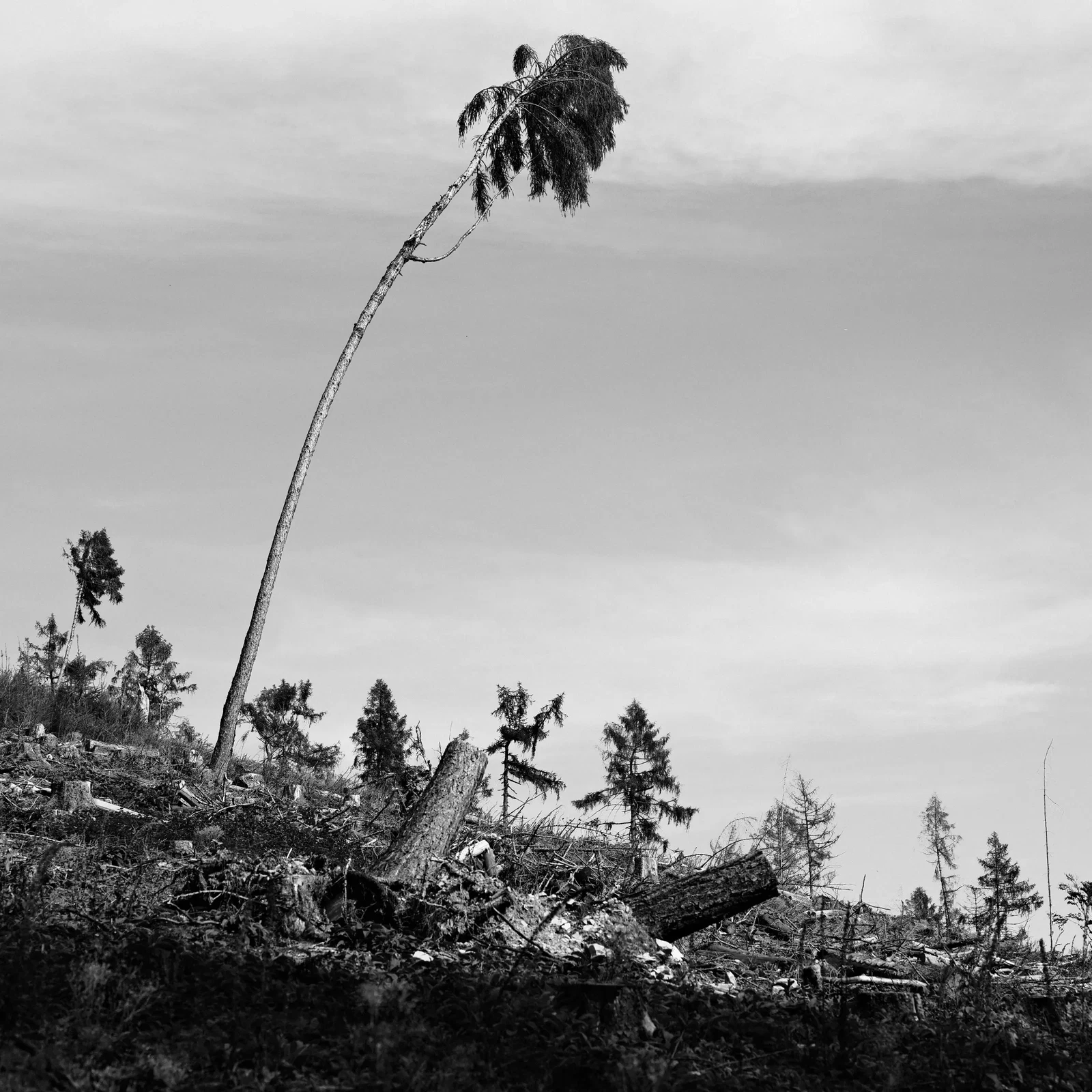 Photograph by Lennard Grohn