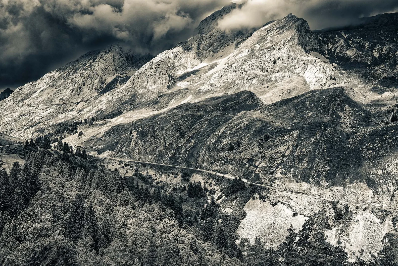 Photograph by David Tedman