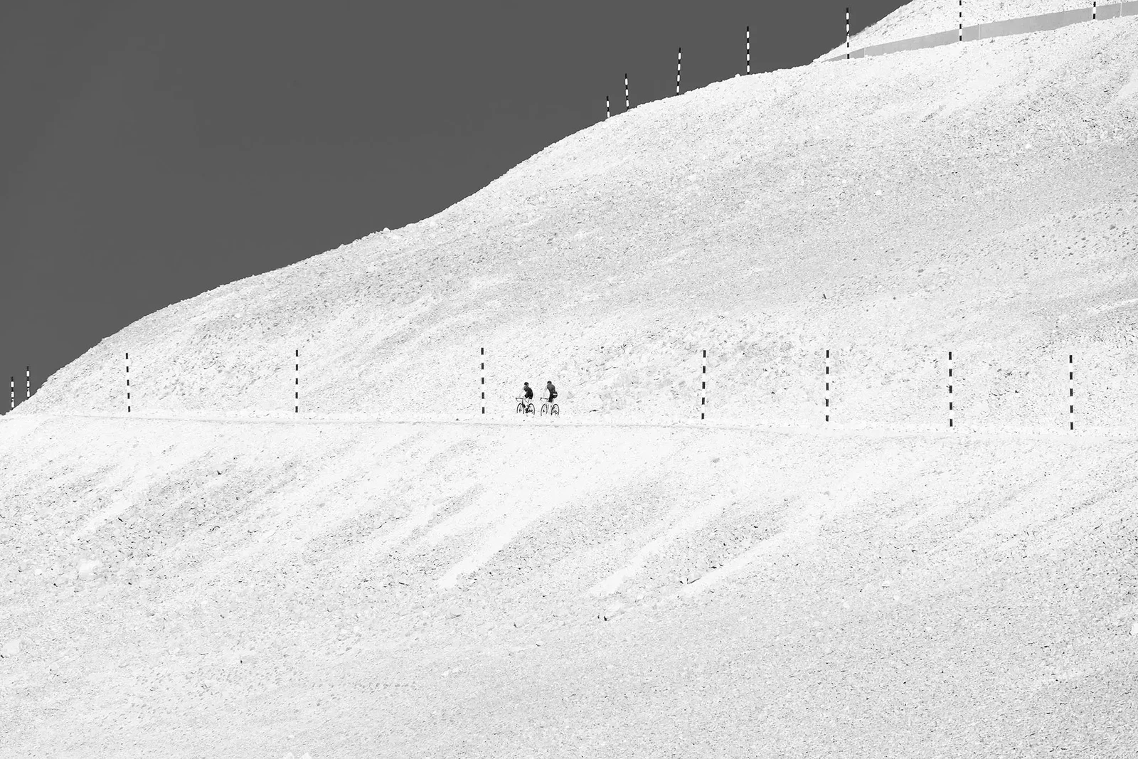 Photograph by David Tedman