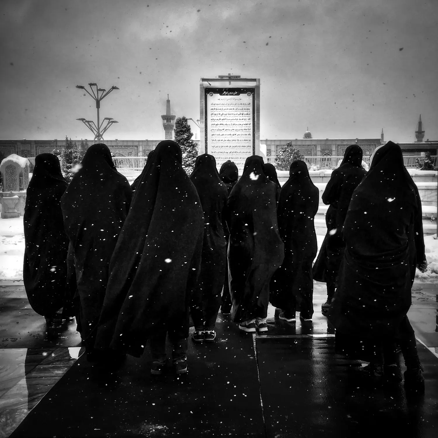 Photograph by Mohammad Mohsenifar