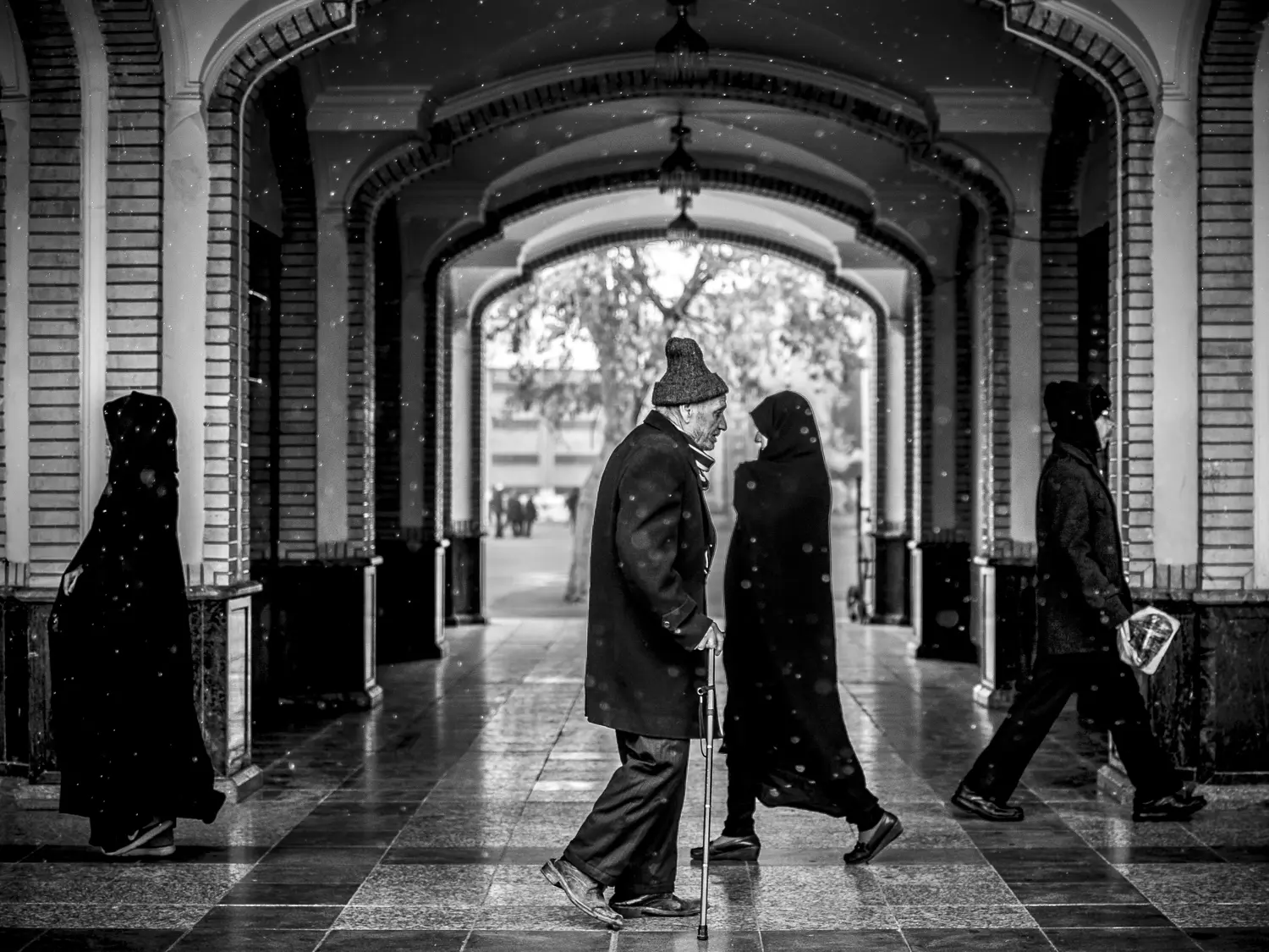 Photograph by Mohammad Mohsenifar