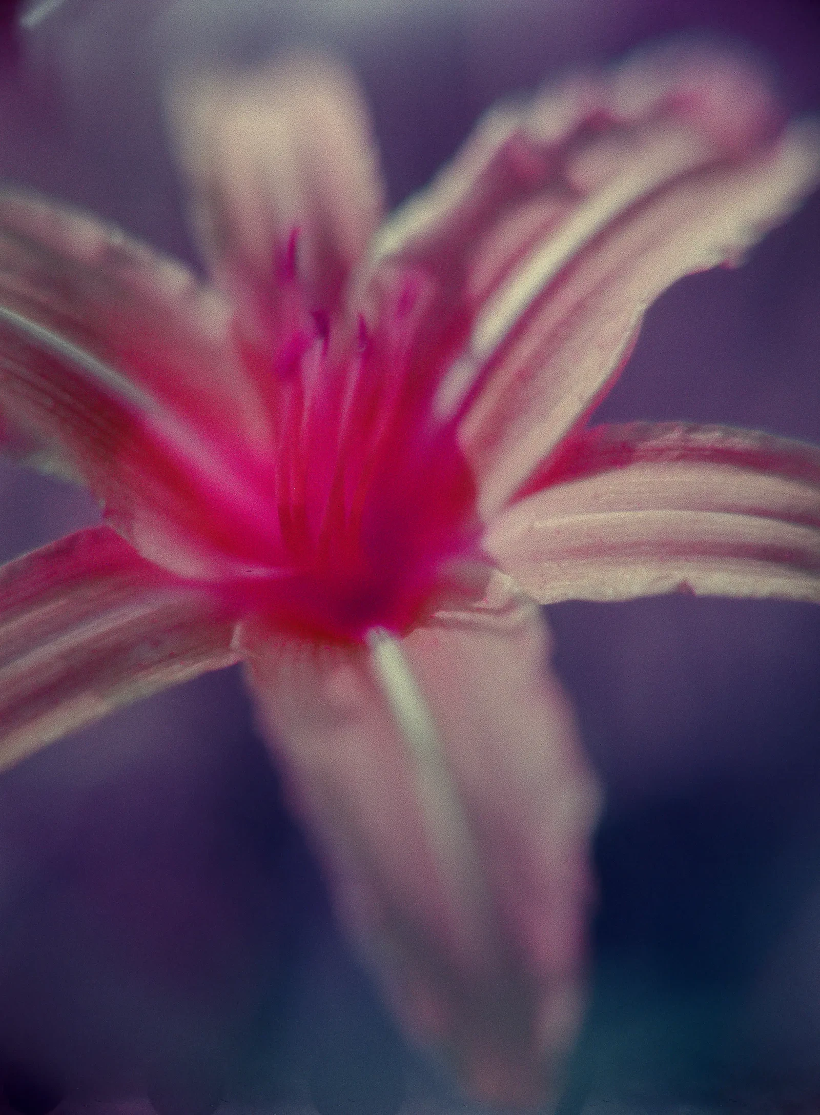 Photograph by Thomas Dezelus