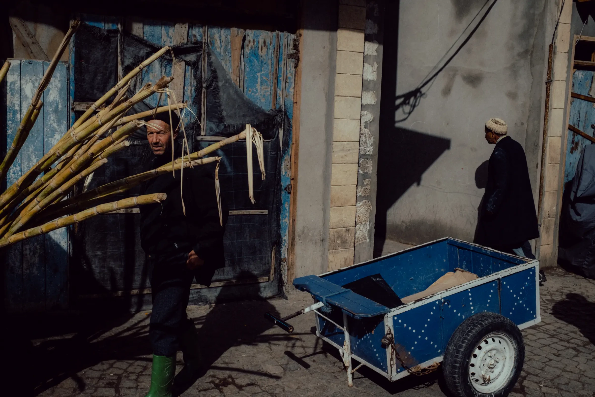 Photograph by Peter Kalnbach