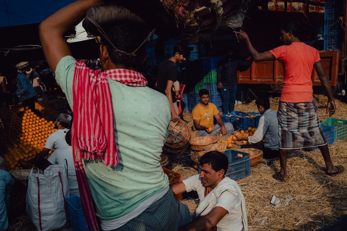 Photograph by Peter Kalnbach