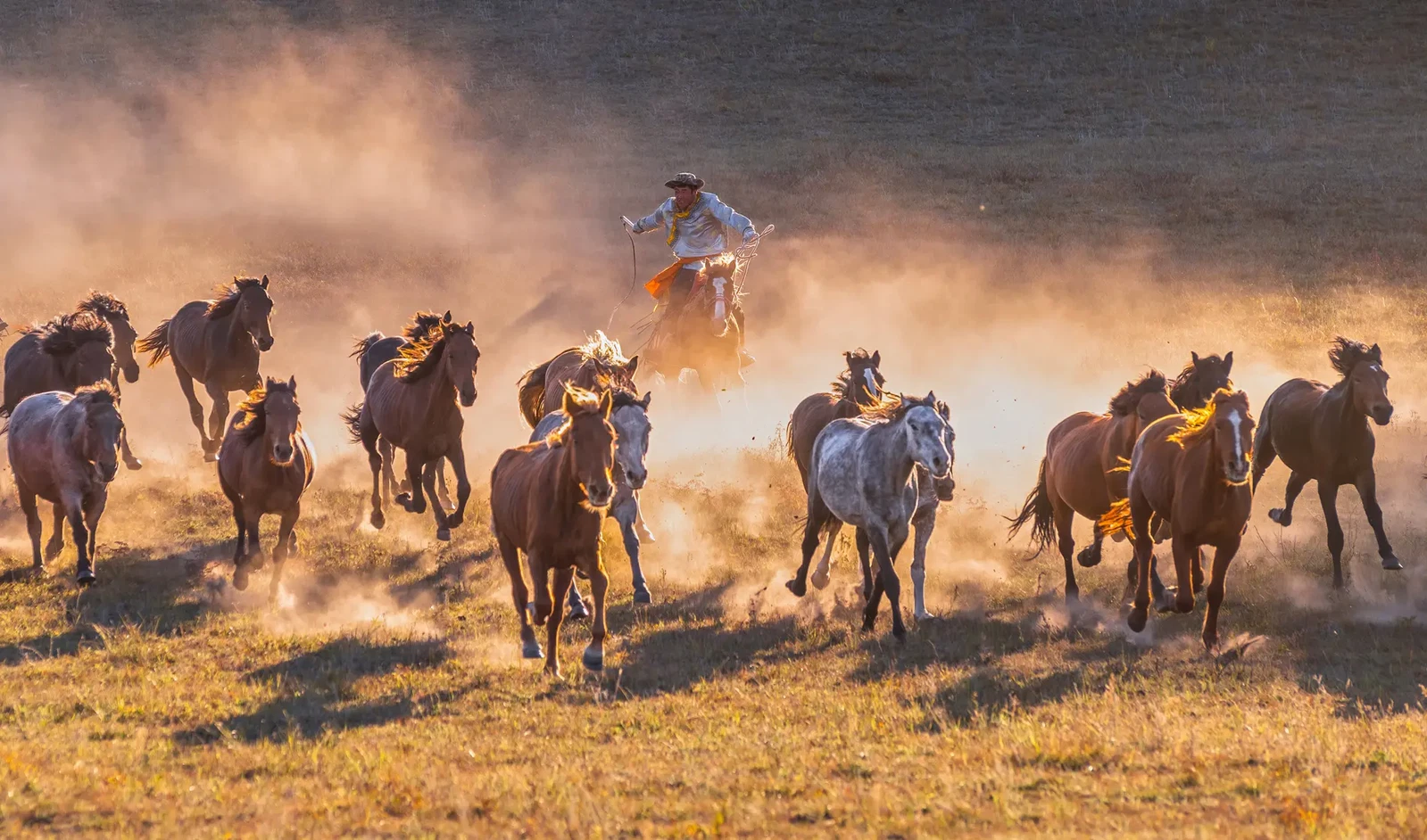 Photograph by Apostolos Kaloudis