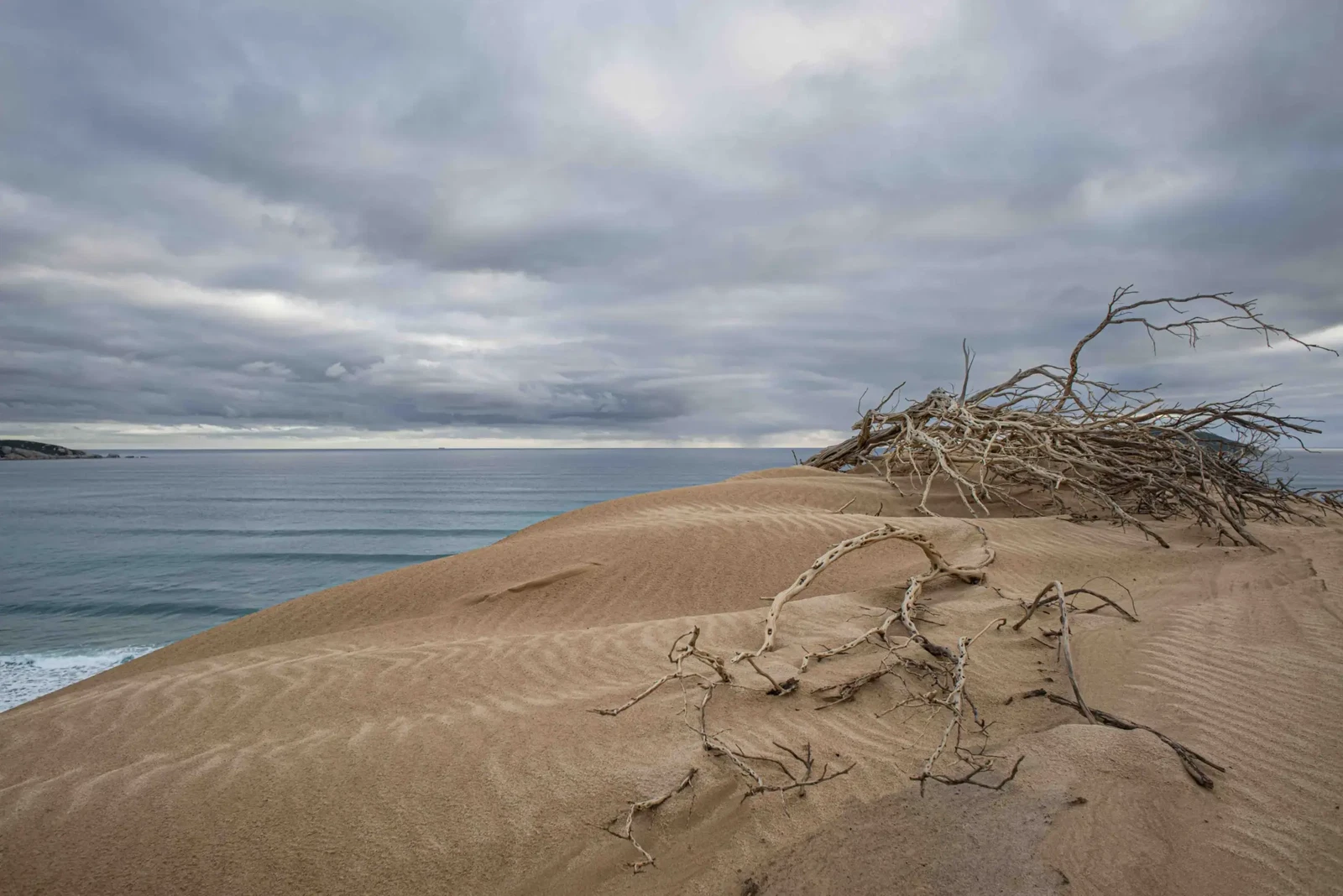 Photograph by Russell Curr