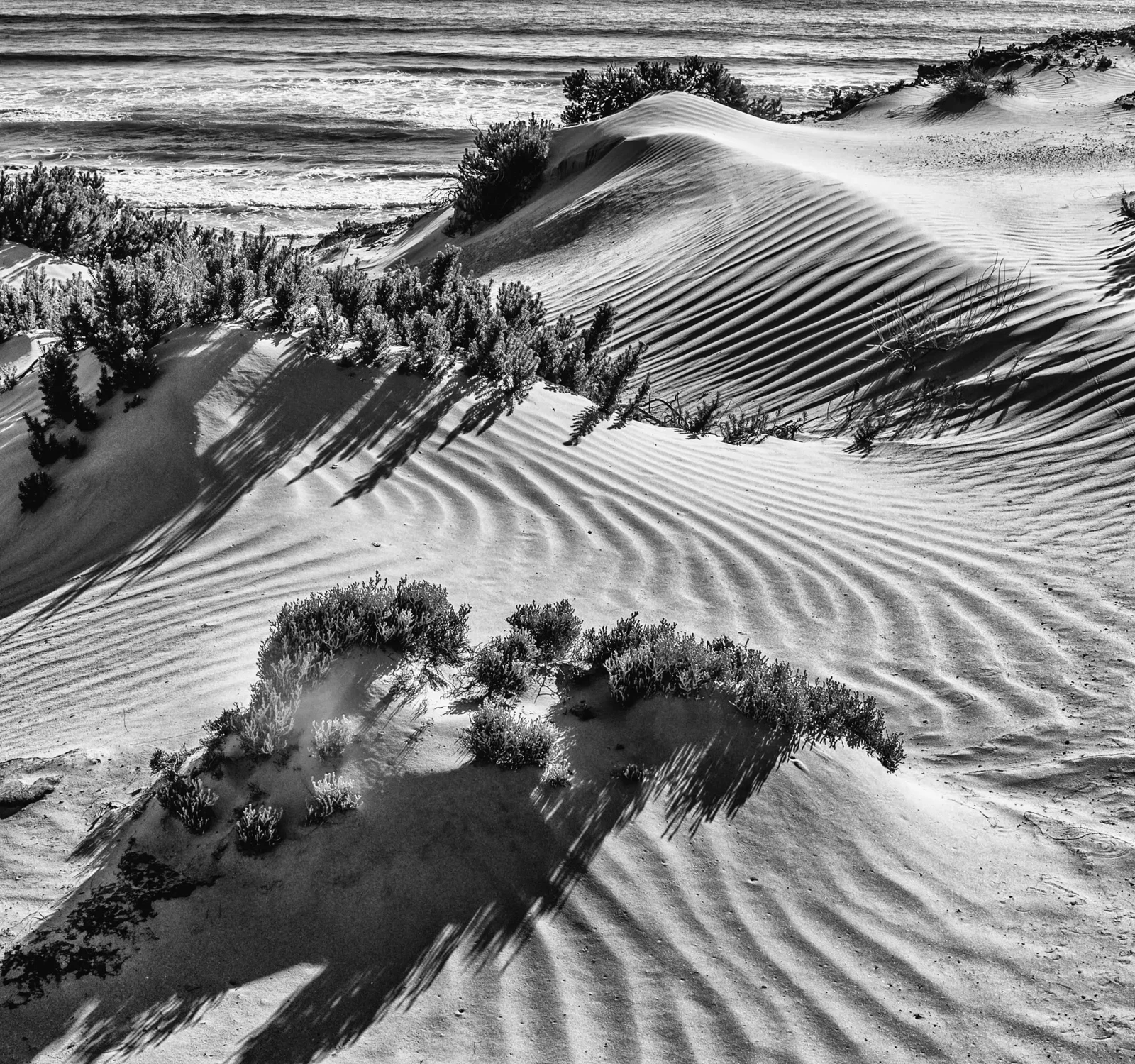 Shadows by Russell Curr