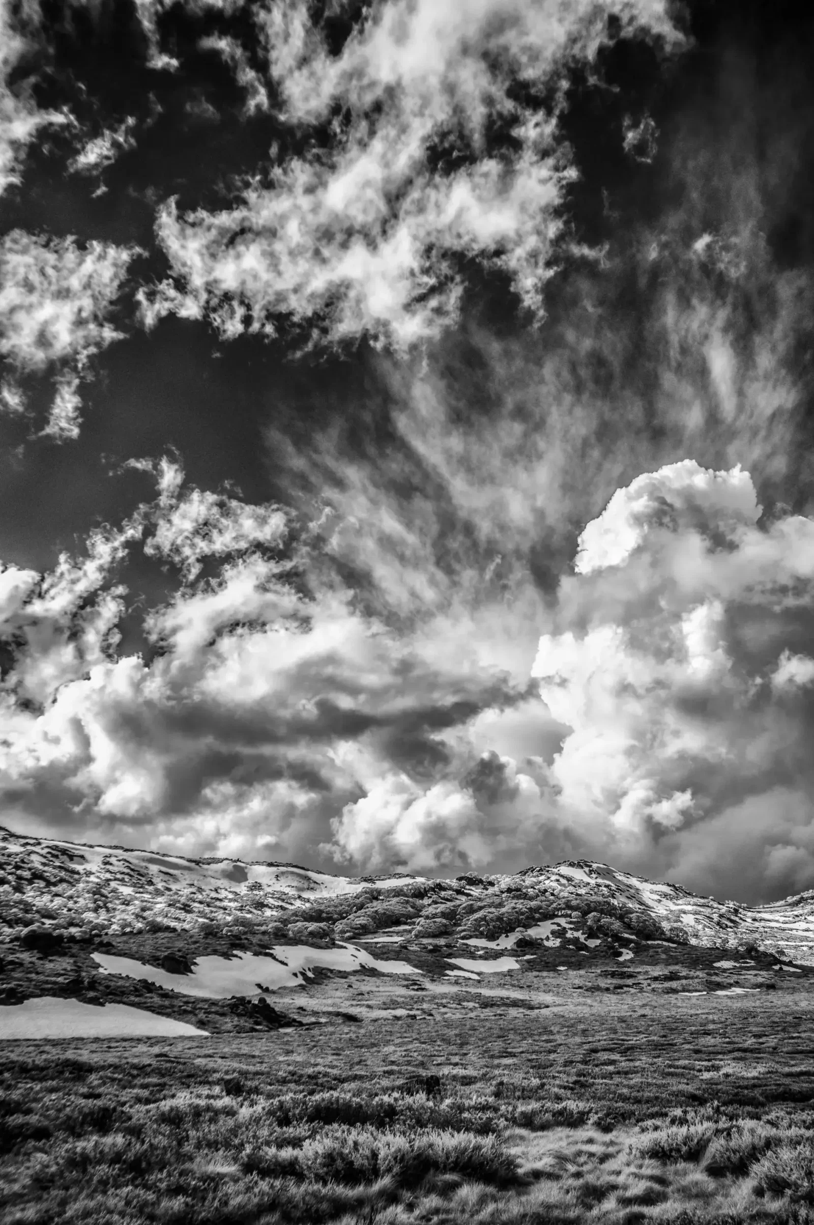 Monochrome by Russell Curr