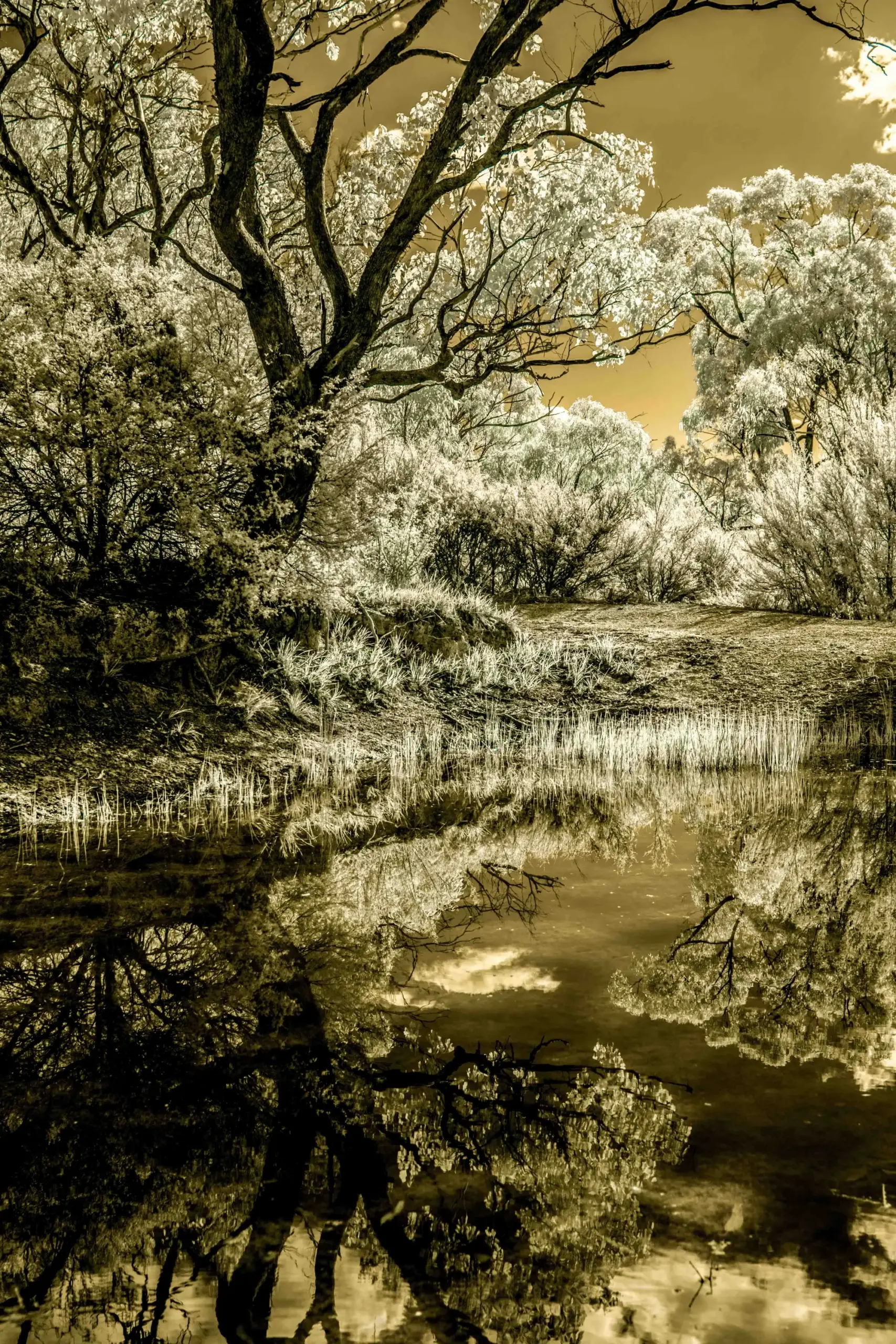 Photograph by Russell Curr