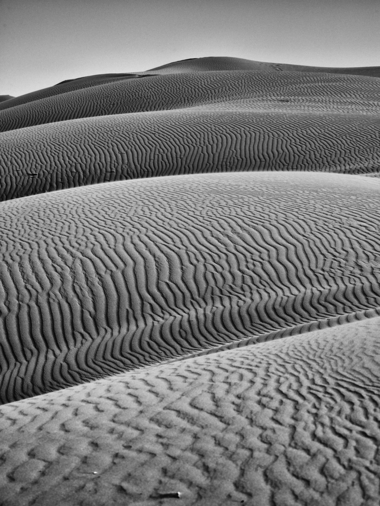 Monochrome by Russell Curr